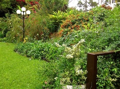 A walk around our garden in Rwanda/enclos*ure