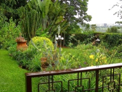 A walk around our garden in Rwanda/enclos*ure
