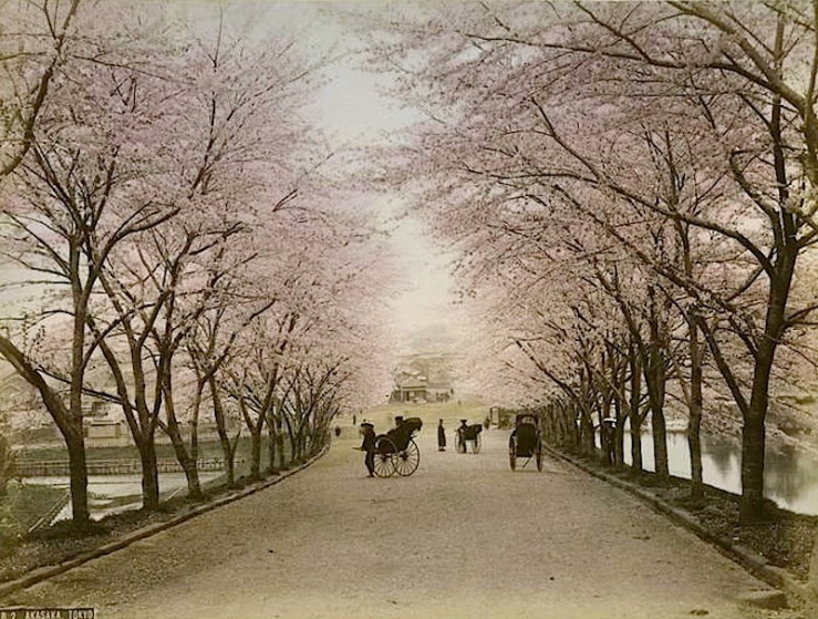 Akasaka, Tokyo, 1890s, from The New York Public Library Commons on flickr