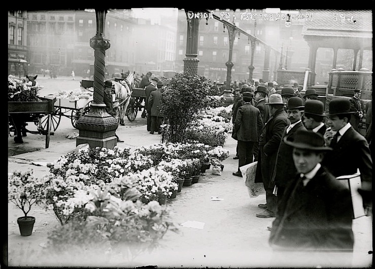 Vintage landscape/enclos*ure: buying Easter flowers, NYCity, 1908, via Library of Congress