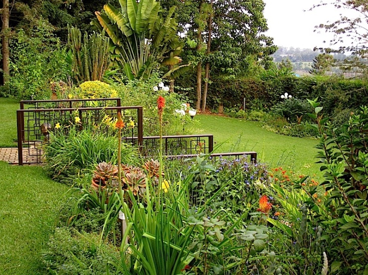 enclos*ure: our Kigali garden, June 2014 - upper lawn