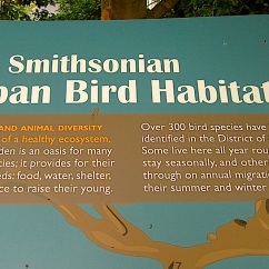 Smithsonian Bird Habitat Garden, October 2014, enclos*ure