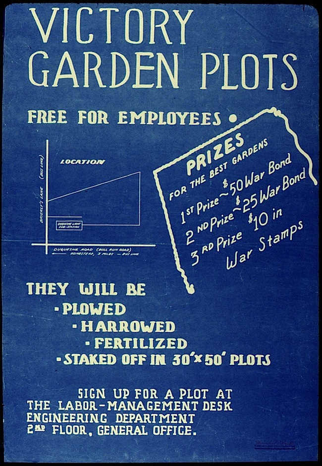 Victory garden poster, National Archives