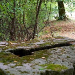 A large stone along the path.