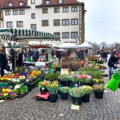 The flower market at Schillerplatz.