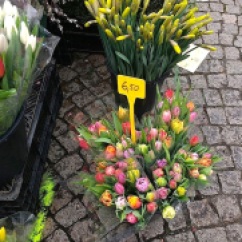 Tulips -- 6.50 euros for 10.