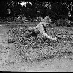 Children's Victory Garden, NYC, 1944, Library of Congress
